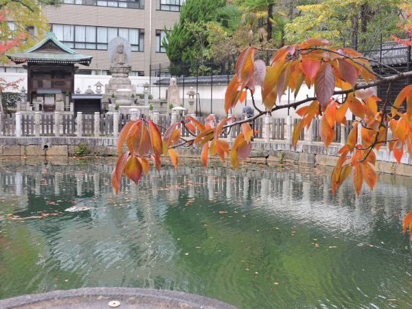 small pond with stone buddha in Shitennoji in Japan Osaka