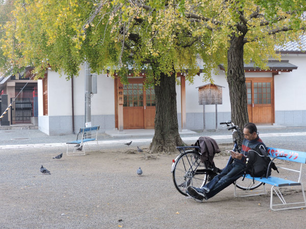 a man resting by the tree