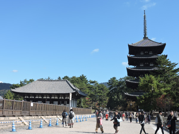 Kohfuku-Ji The Five-Storied Pagoda and Eastern Golden Hall(東金堂) in Nara Japan