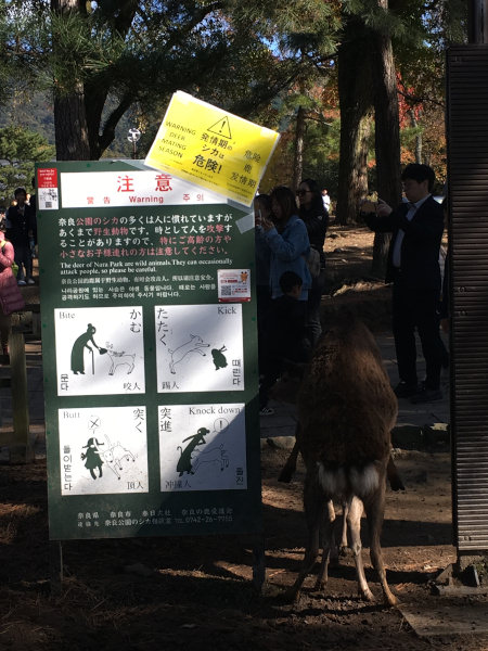 Nara Deers get a room pls haha