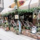 travel photos gallery