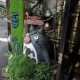 travel photos gallery