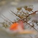 travel photos gallery
