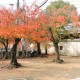 travel photos gallery