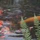 travel photos gallery