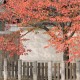 travel photos gallery