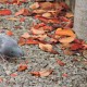 travel photos gallery