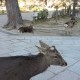 travel photos gallery